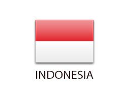 каркасные дома Индонезия