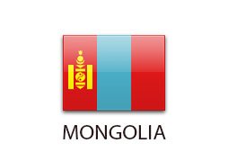 каркасные дома Монголия