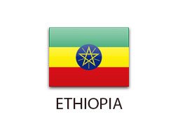 каркасные дома Эфиопия